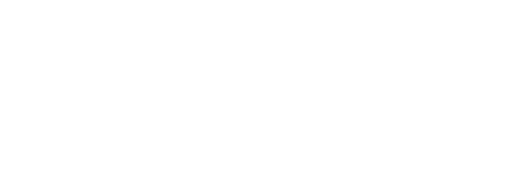 DLR Logo