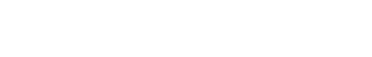 Rymdstyrelsen Logo